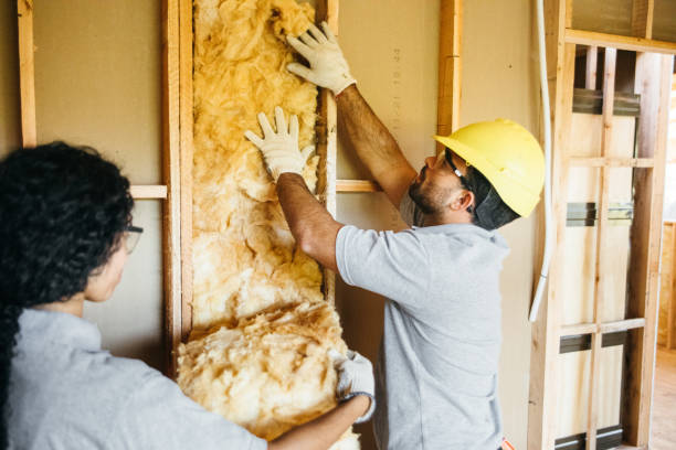 Best Insulation Replacement Services  in Perryopolis, PA