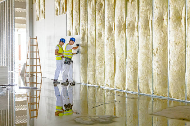 Best Garage Insulation Installation  in Perryopolis, PA